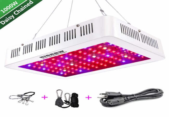 HIGROW 1000W LED Grow Light, Full Spectrum Plant Light with Daisy Chain for Indoor Greenhouse Hydroponics Plants Veg and Flower (10W LEDs 100Pcs)