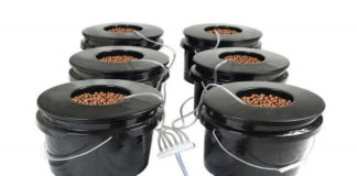 HTG Supply Bubble Brothers 6-Site DWC Hydroponic System