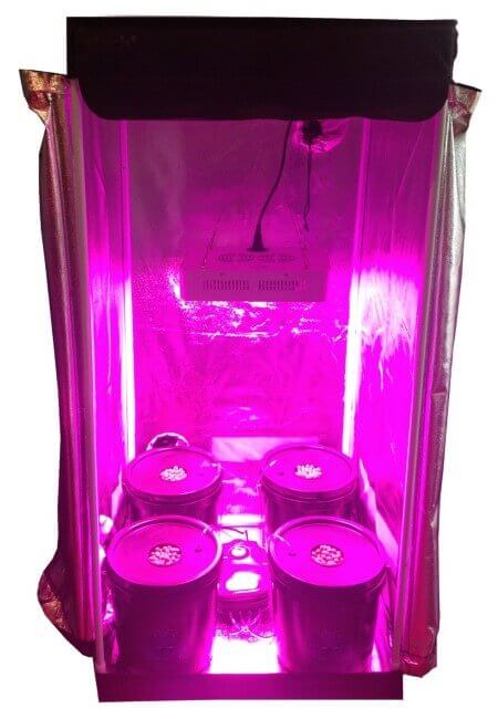 Hydroponic Grow Room - Complete Grow Tent - 300w LED Grow Light with IR
