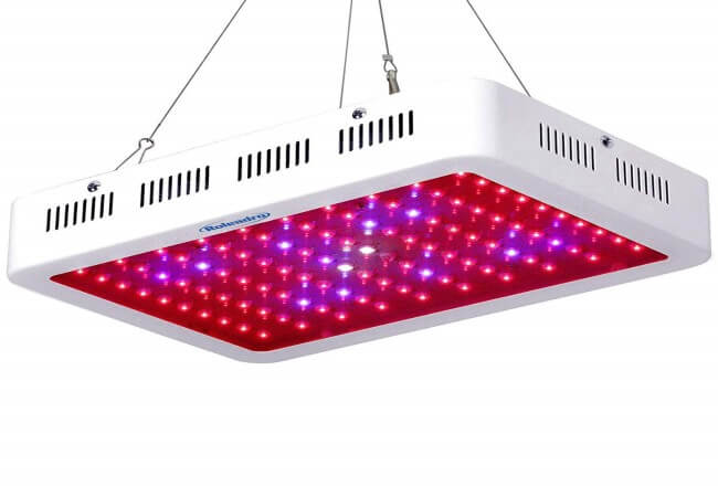 Roleadro LED Grow Light, Galaxyhydro Series 1000W Indoor Plant Grow Lights Full Spectrum with UV&IR for Veg and Flower-1000w