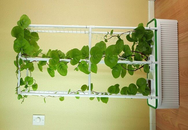 Hydroponic Vegetable Support Tower for Cucumbers, Tomatoes, Peas, Beans