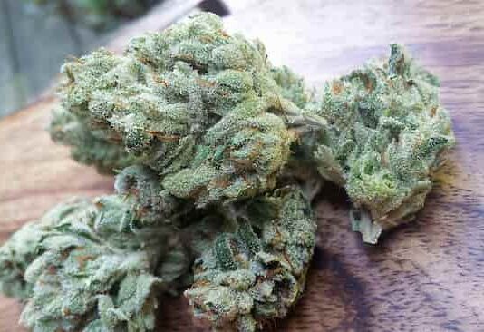 Chemdawg Cannabis Strain